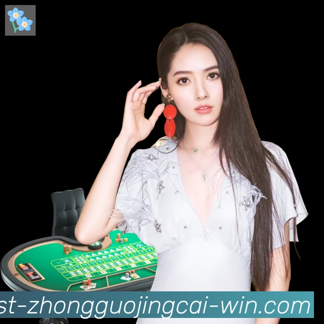 中国竞彩网服务体系